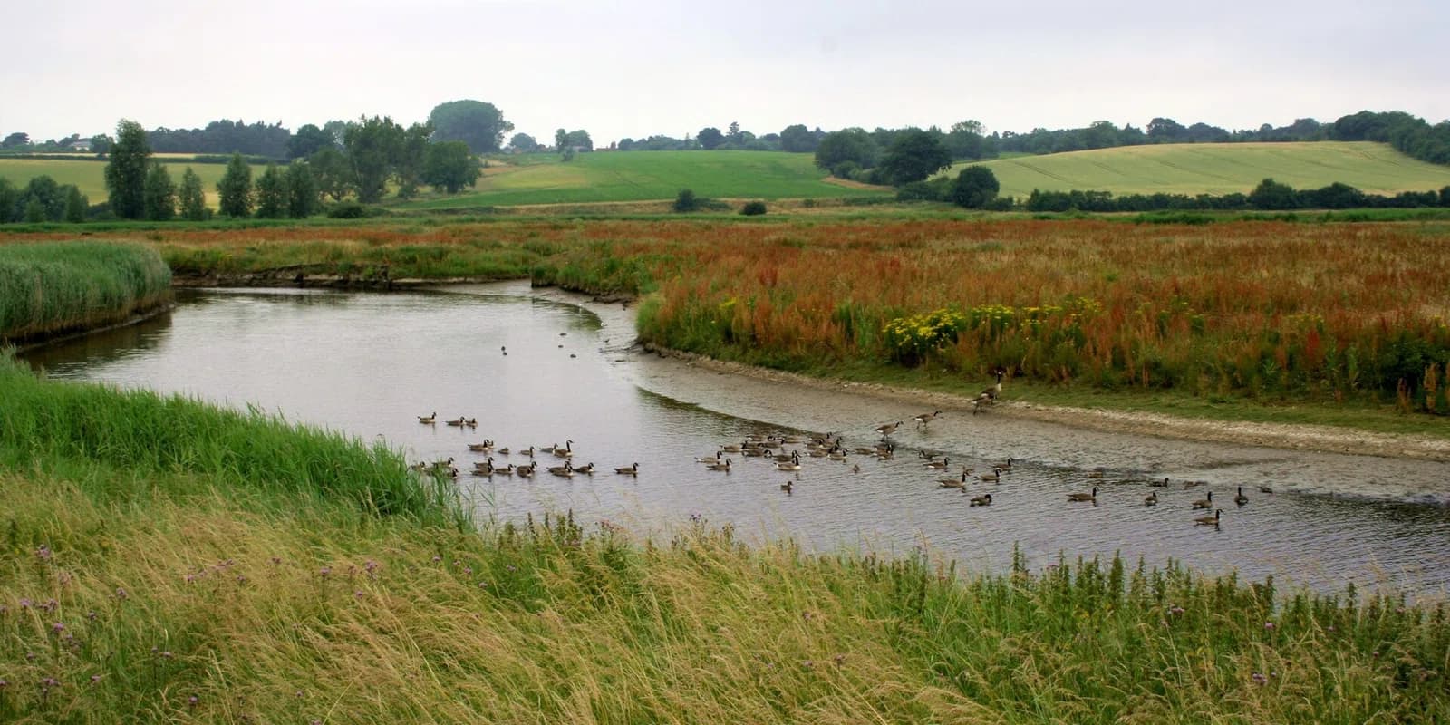 Suffolk