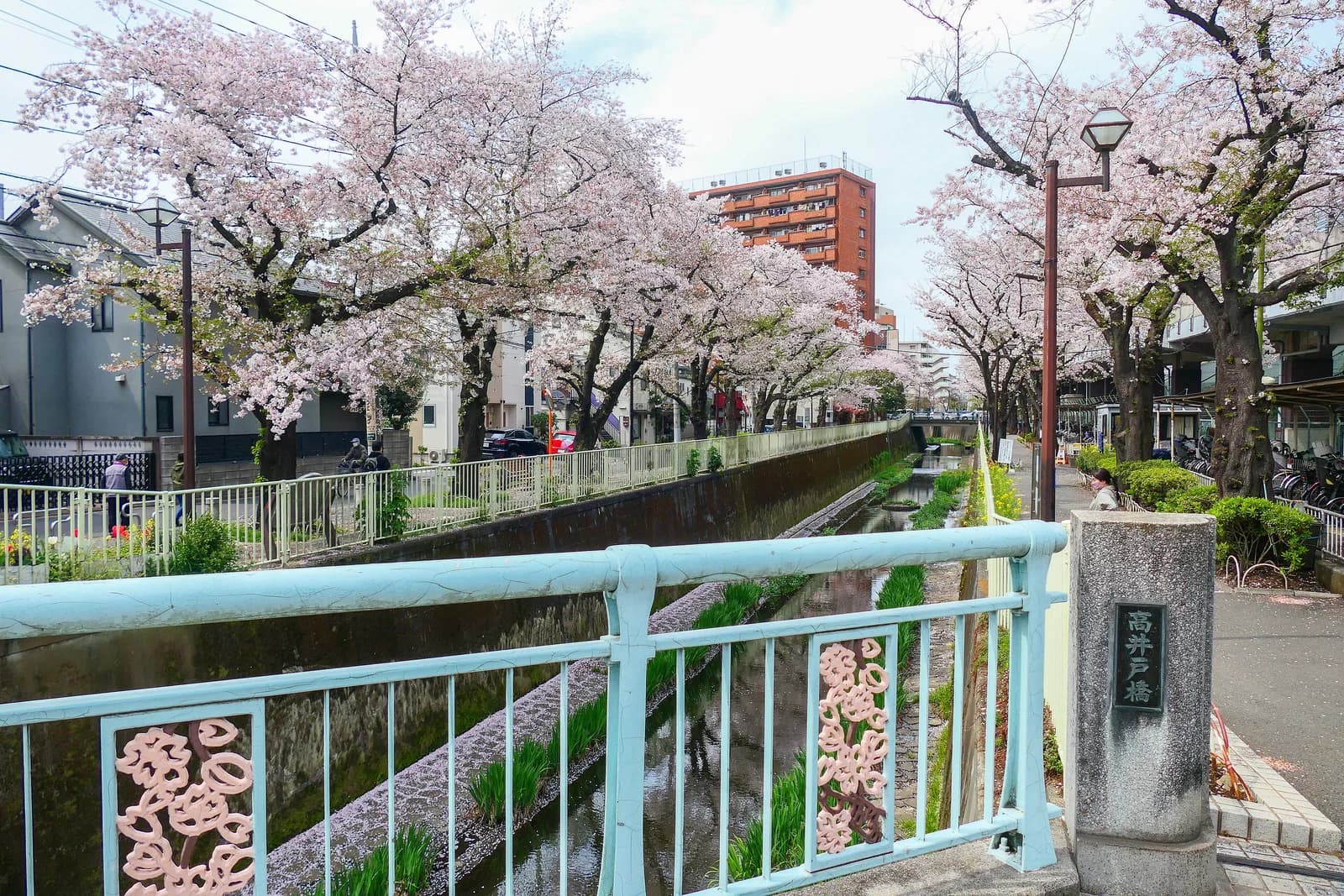 Suginami