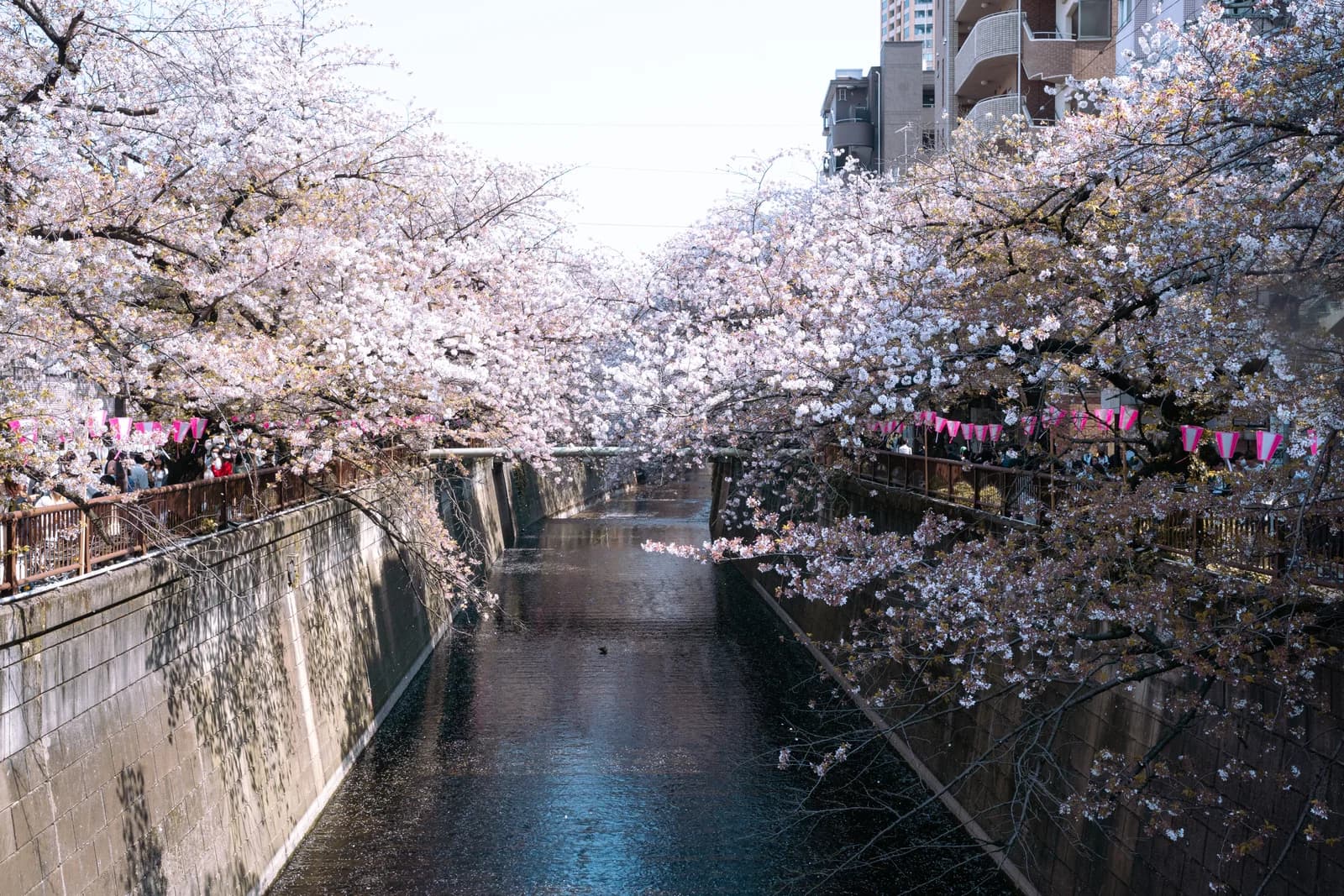 Meguro