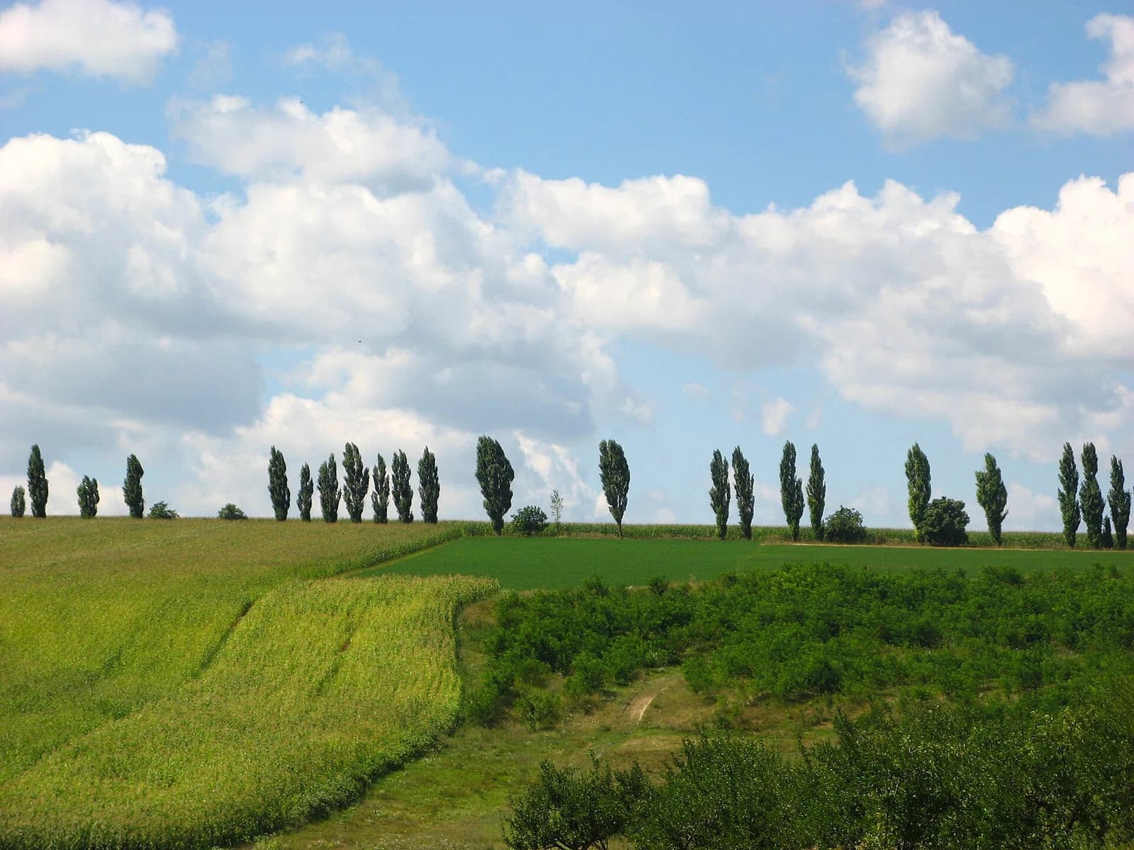 Mihăileni