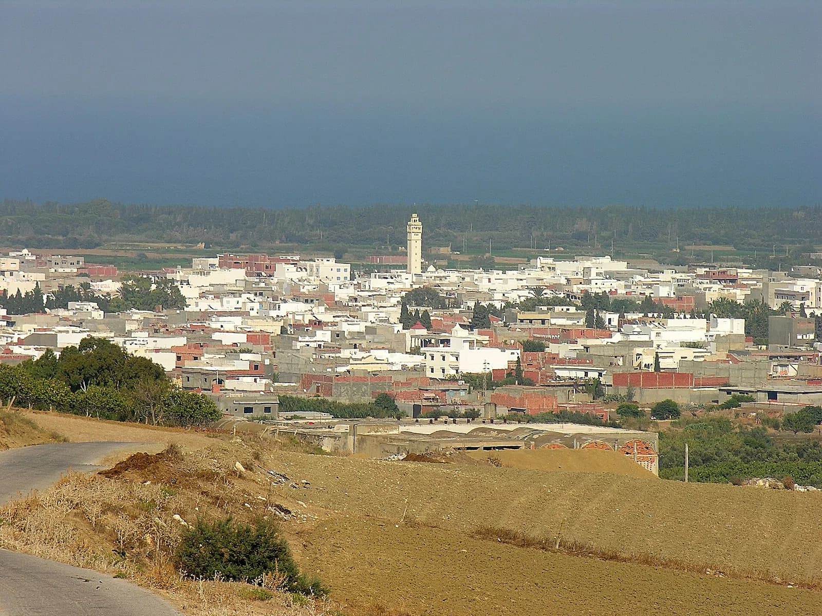 Ras Jebel