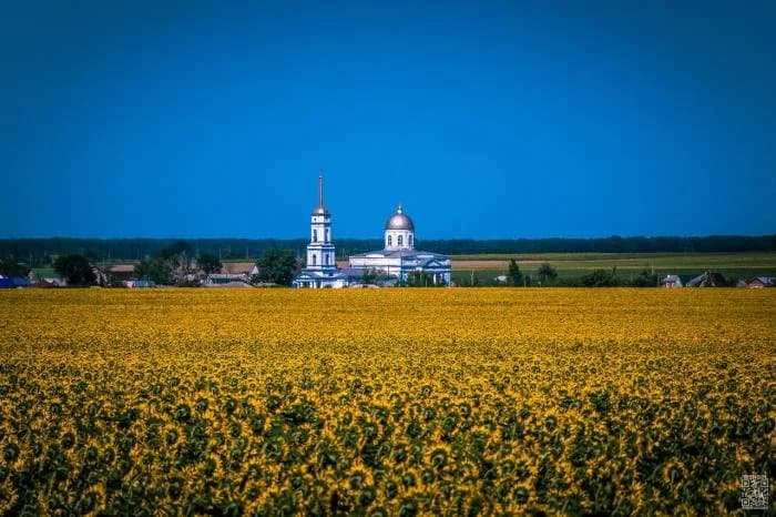 Voronezh Oblast