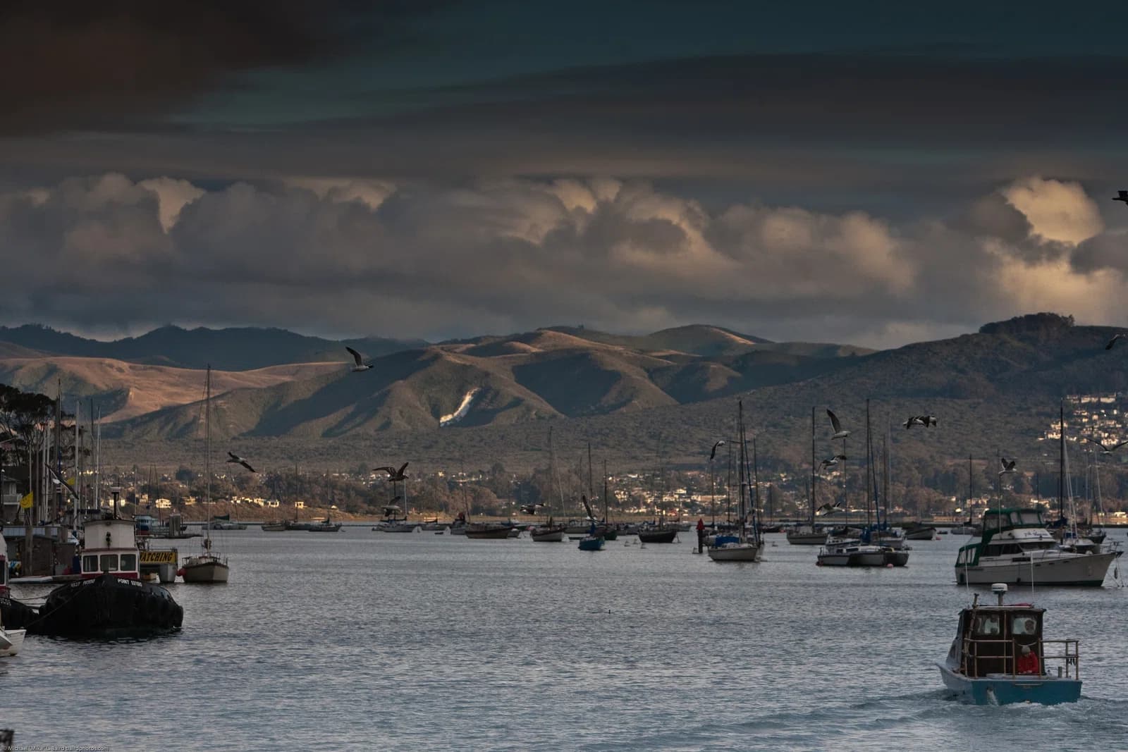 Los Osos