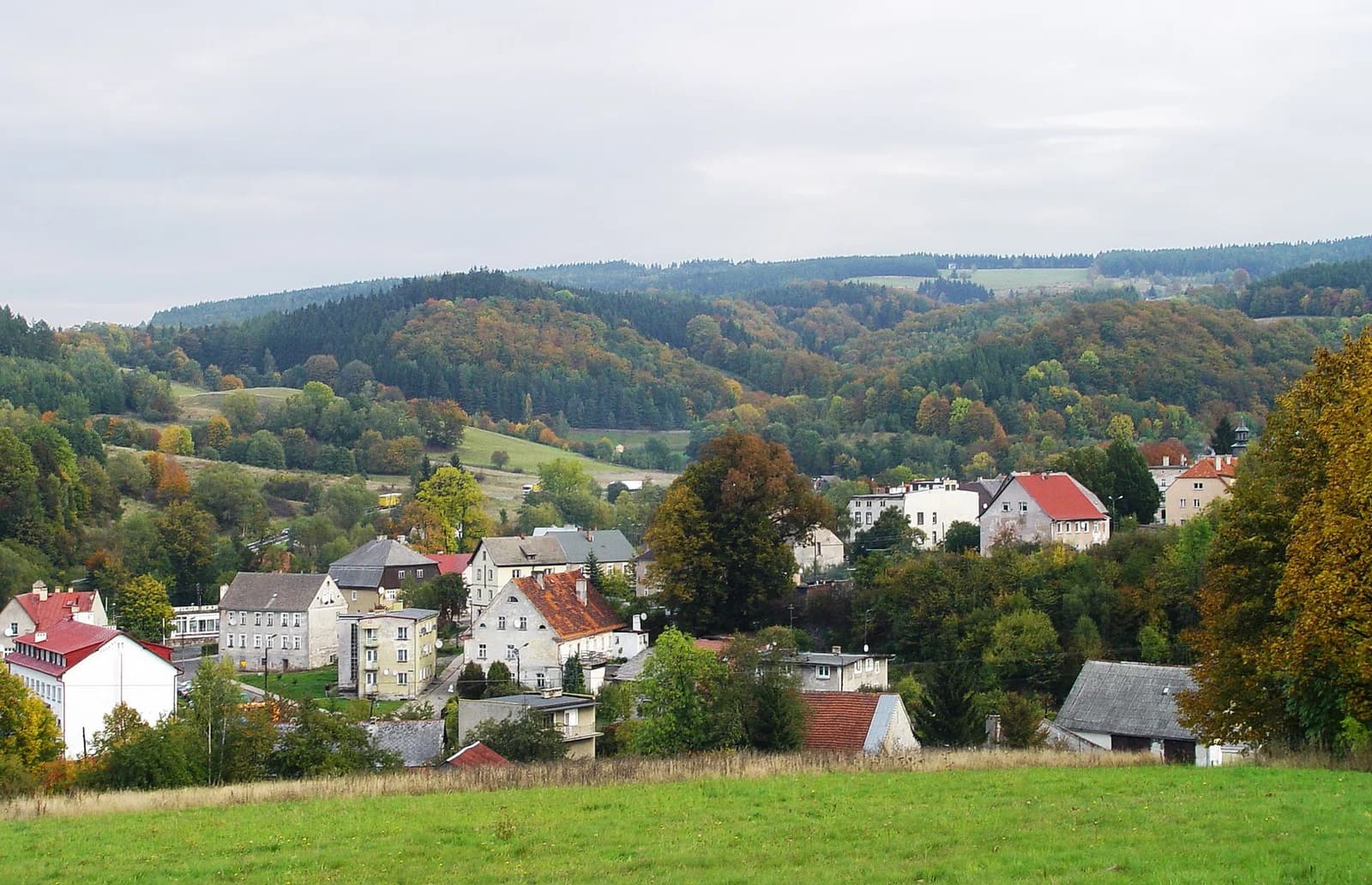 Lewin Klodzki