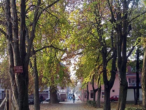 Šamac