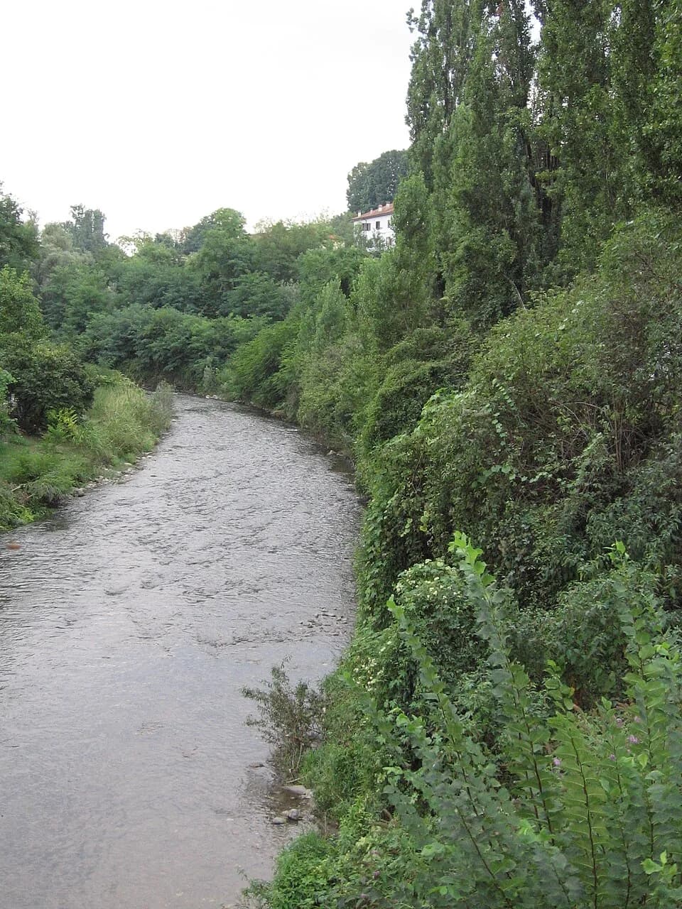 Triuggio