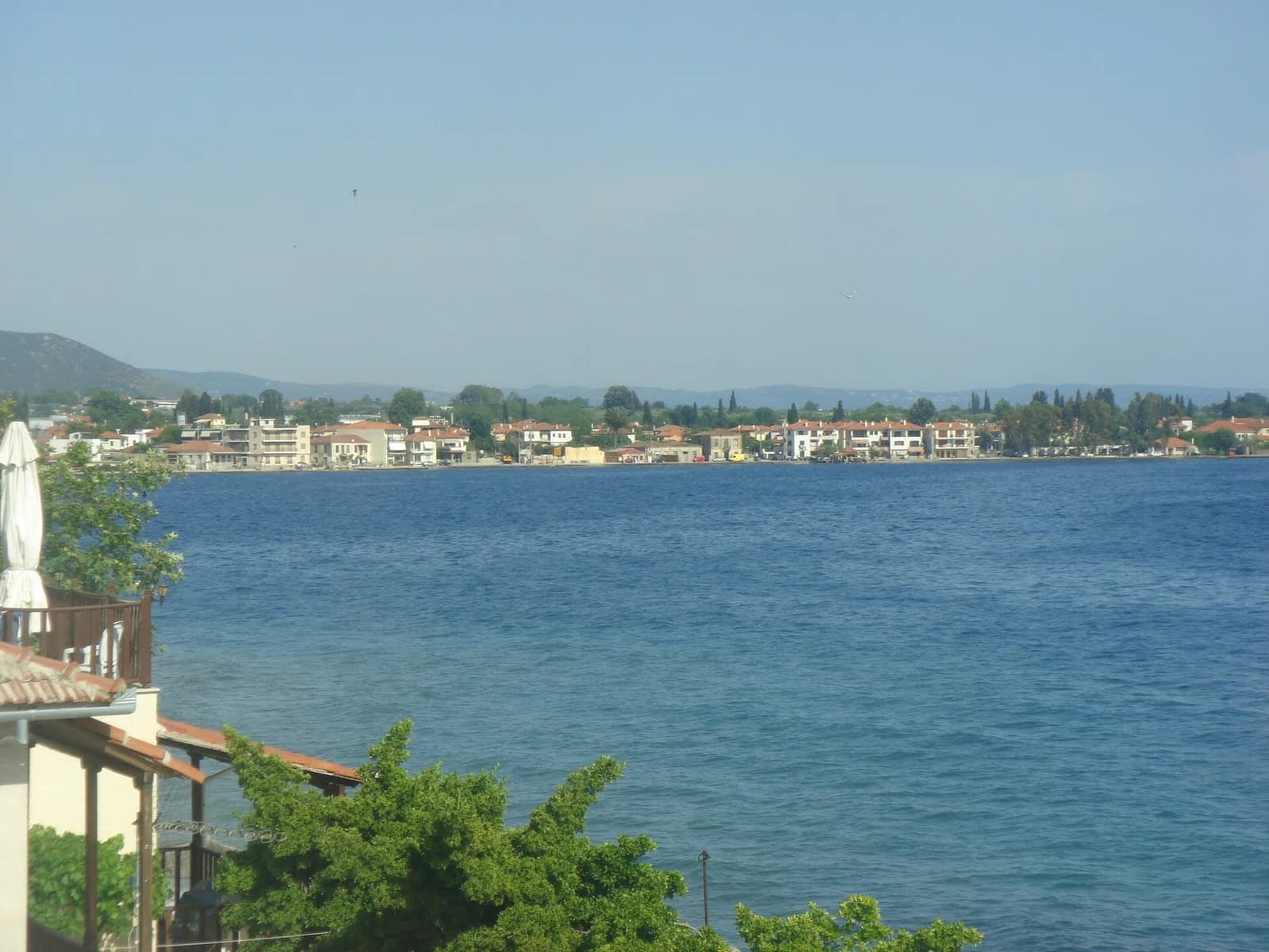 Agria