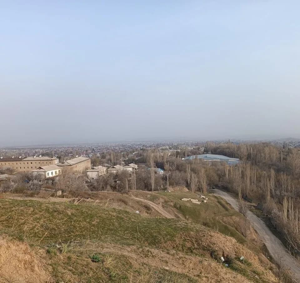 Qarghaly