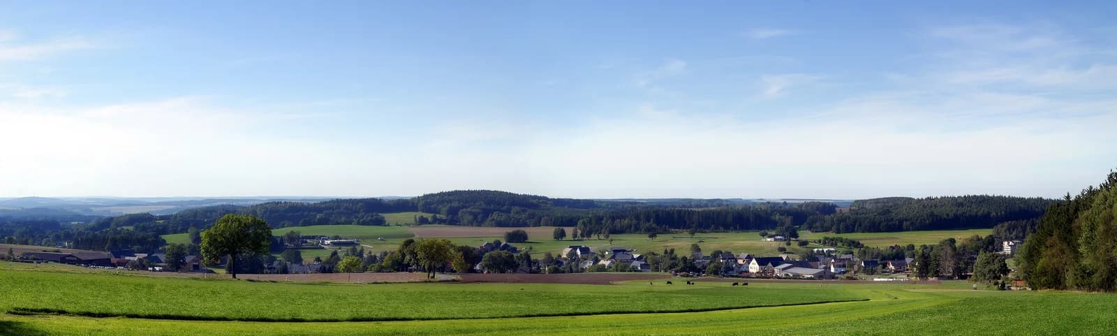 Steinberg