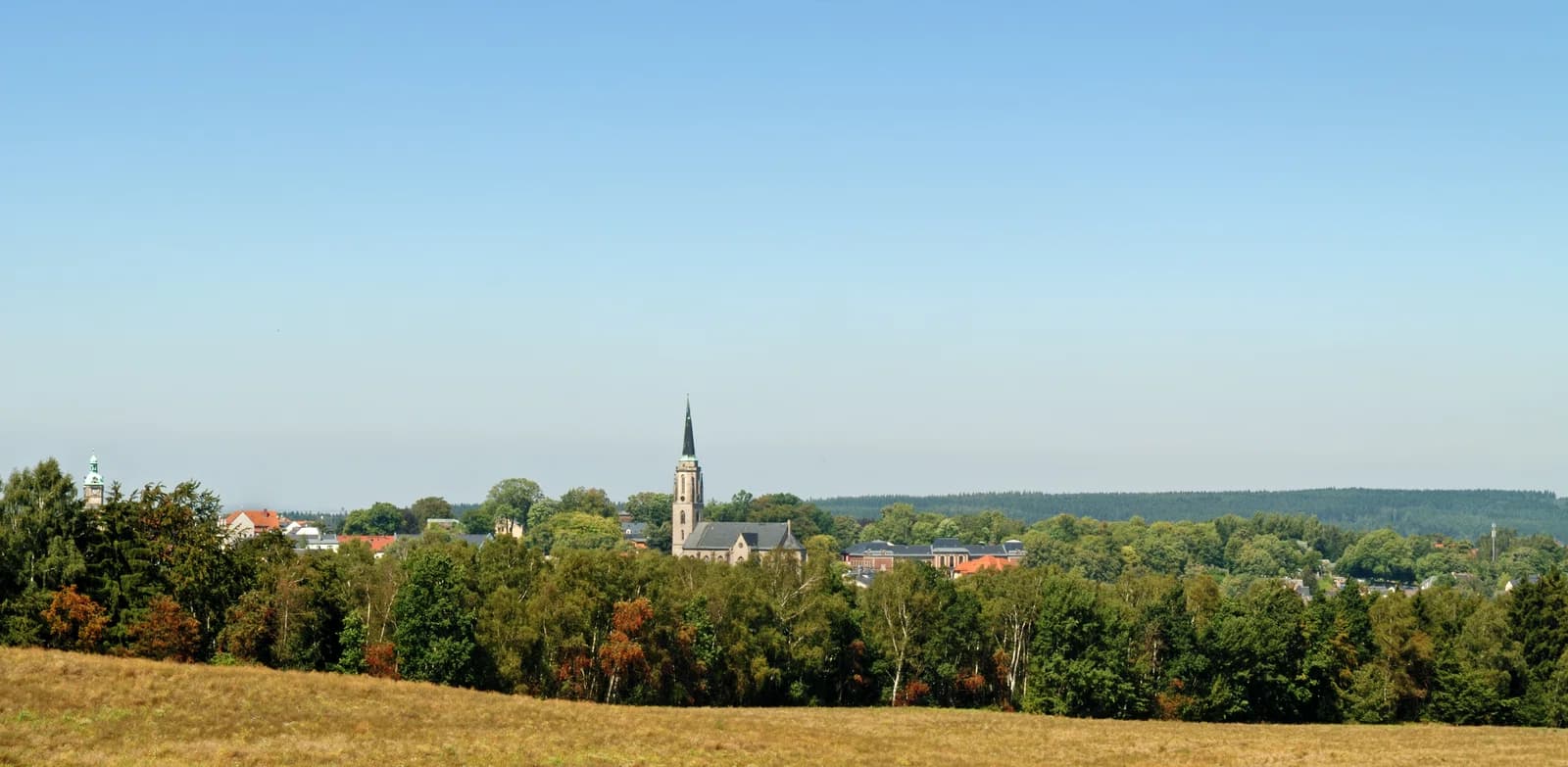 Falkenstein/Vogtl.