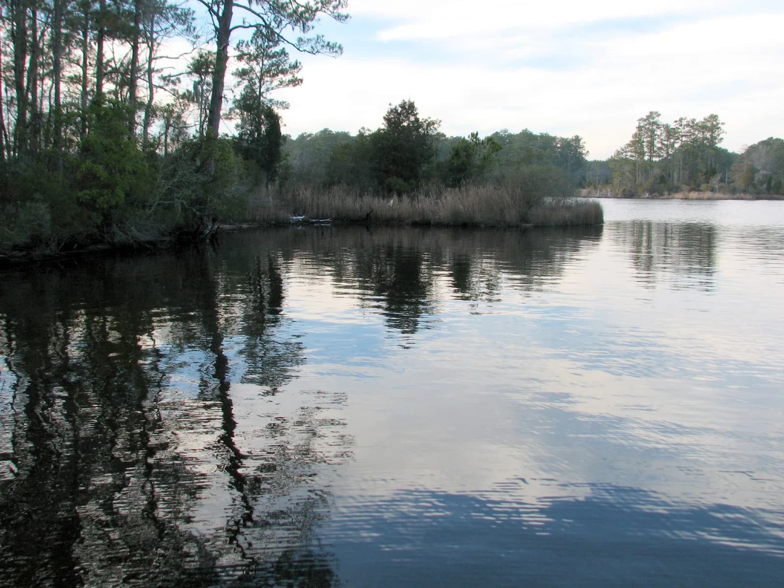 Beaufort County