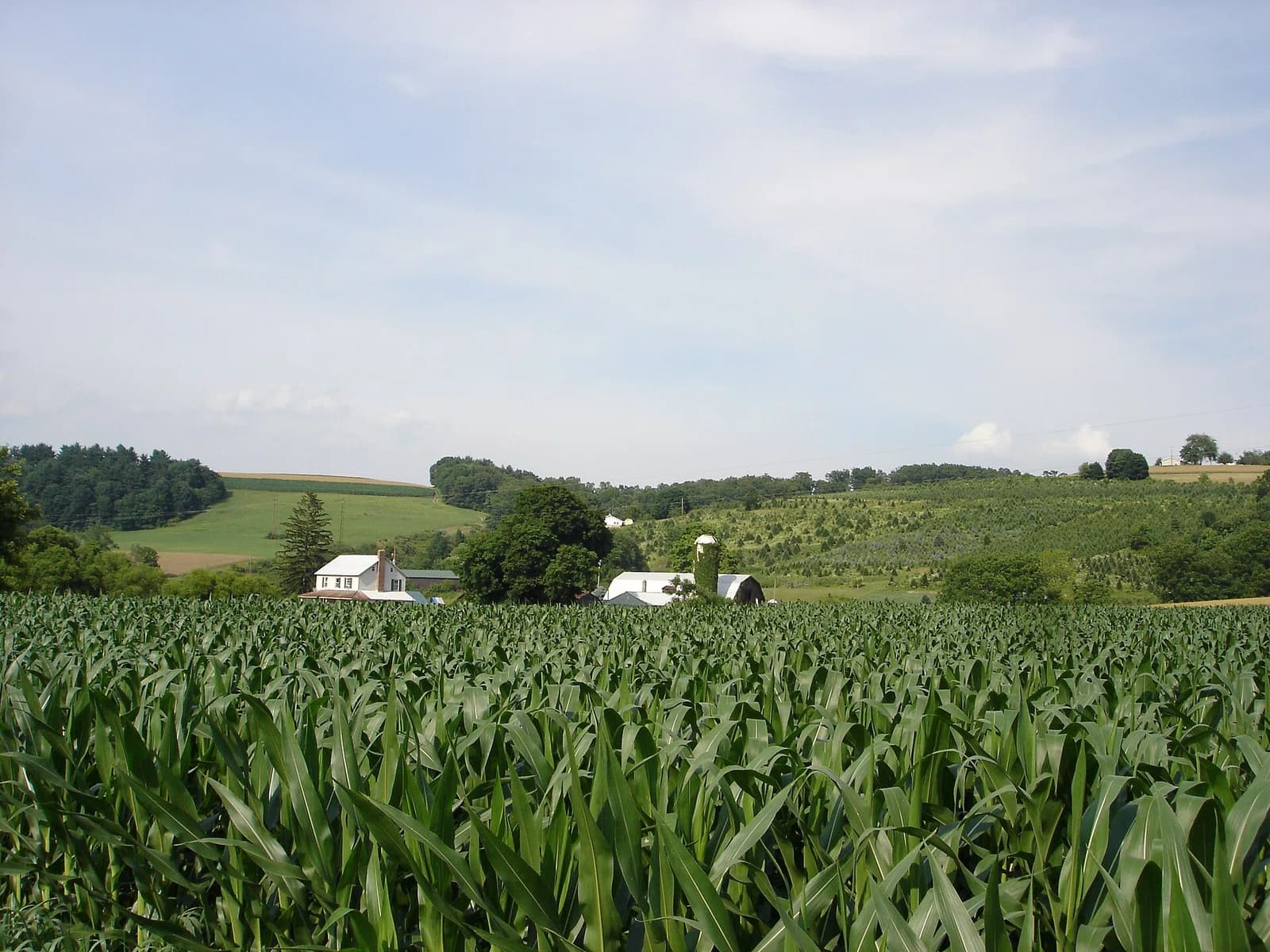 York County