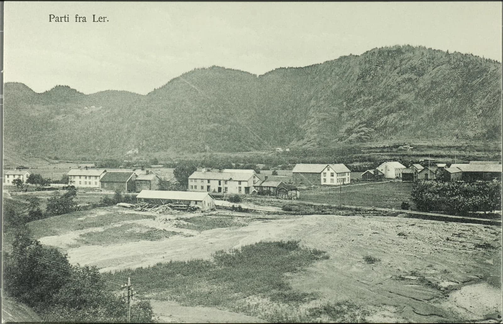 Flå