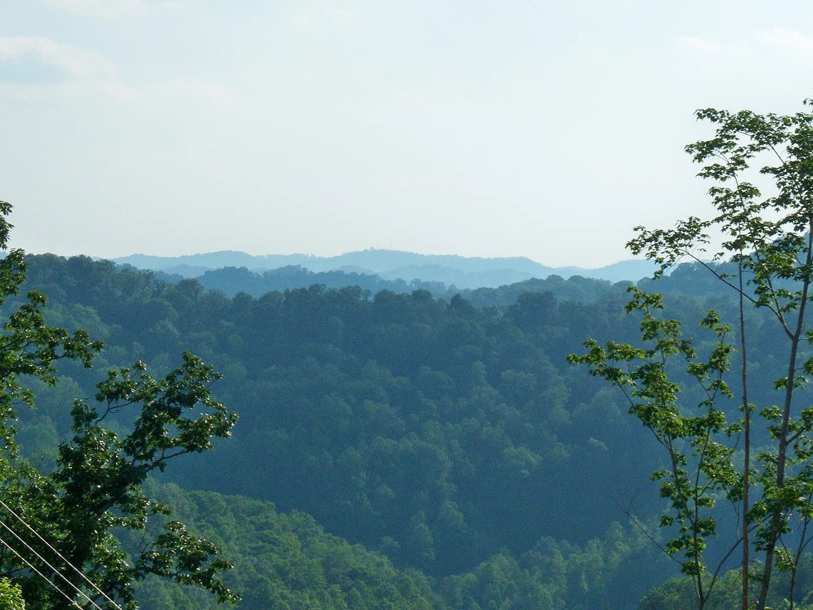 Johnson County