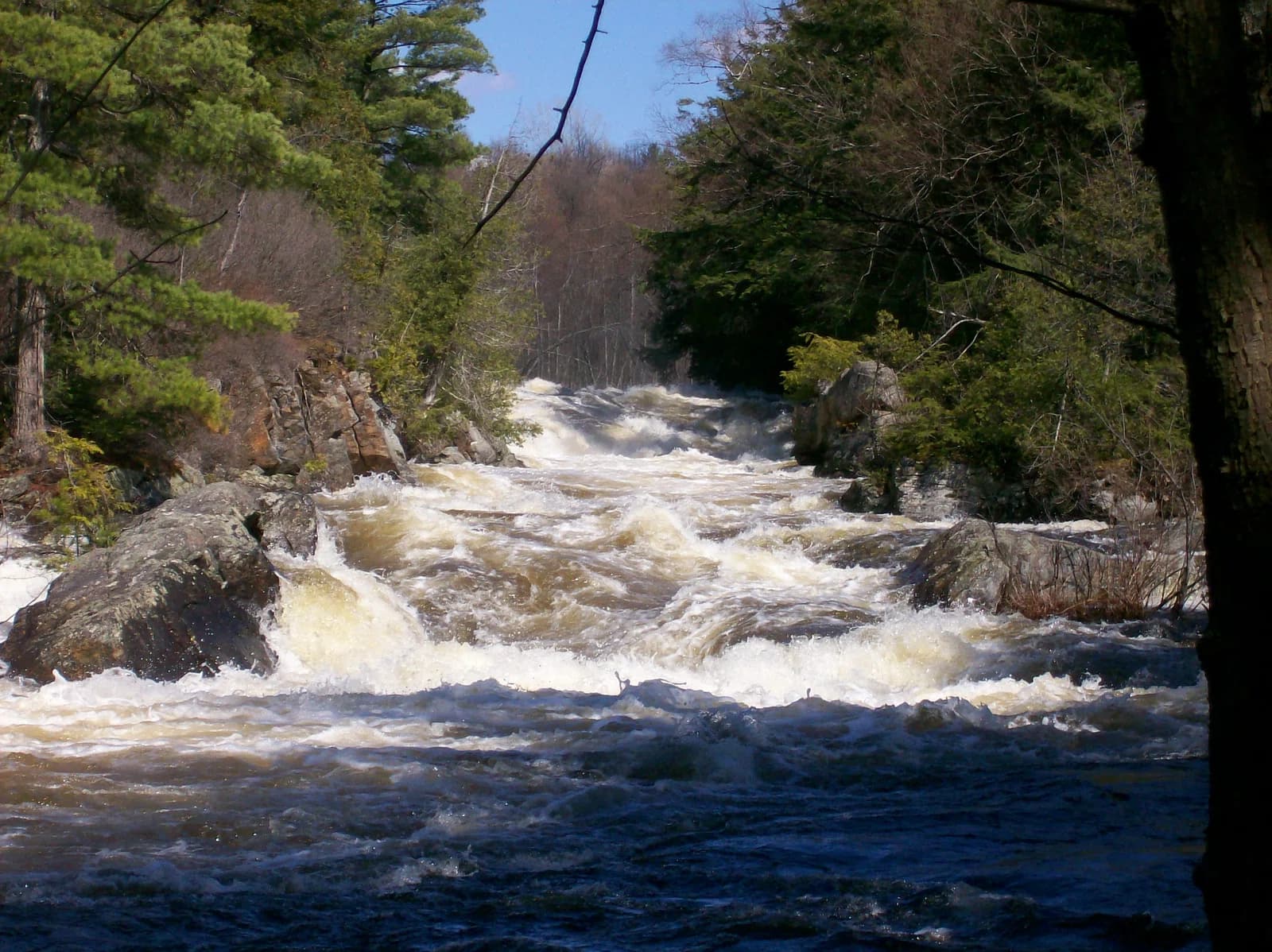 St. Lawrence County