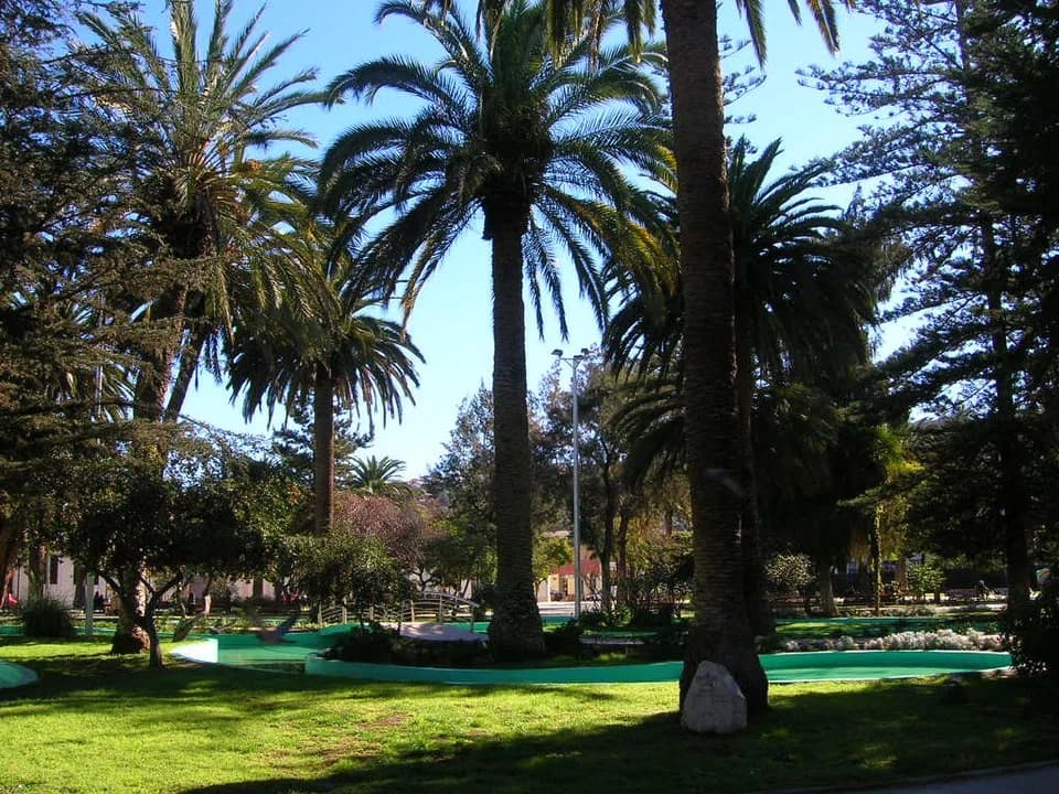 Ovalle