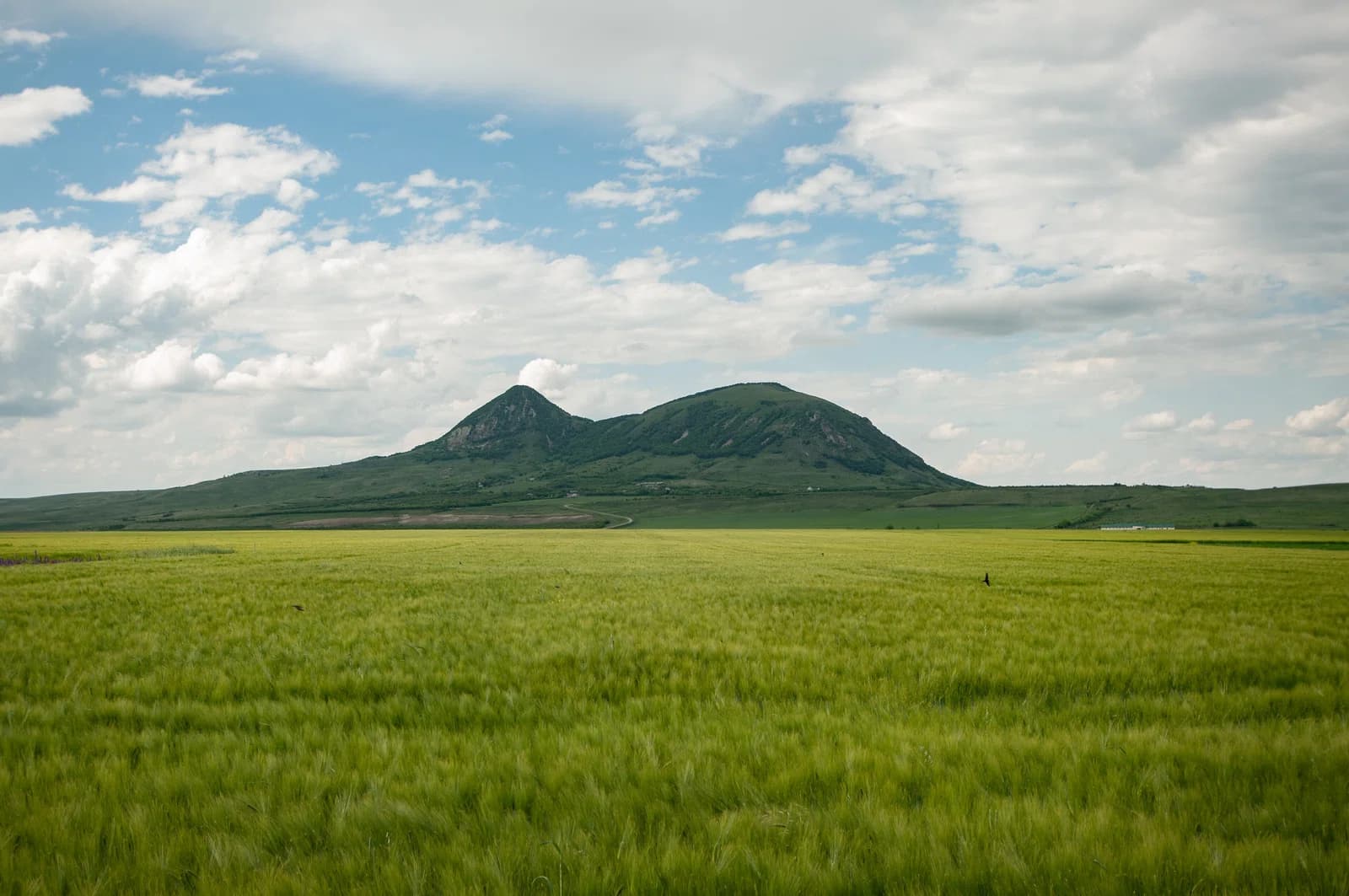 Stavropol Krai