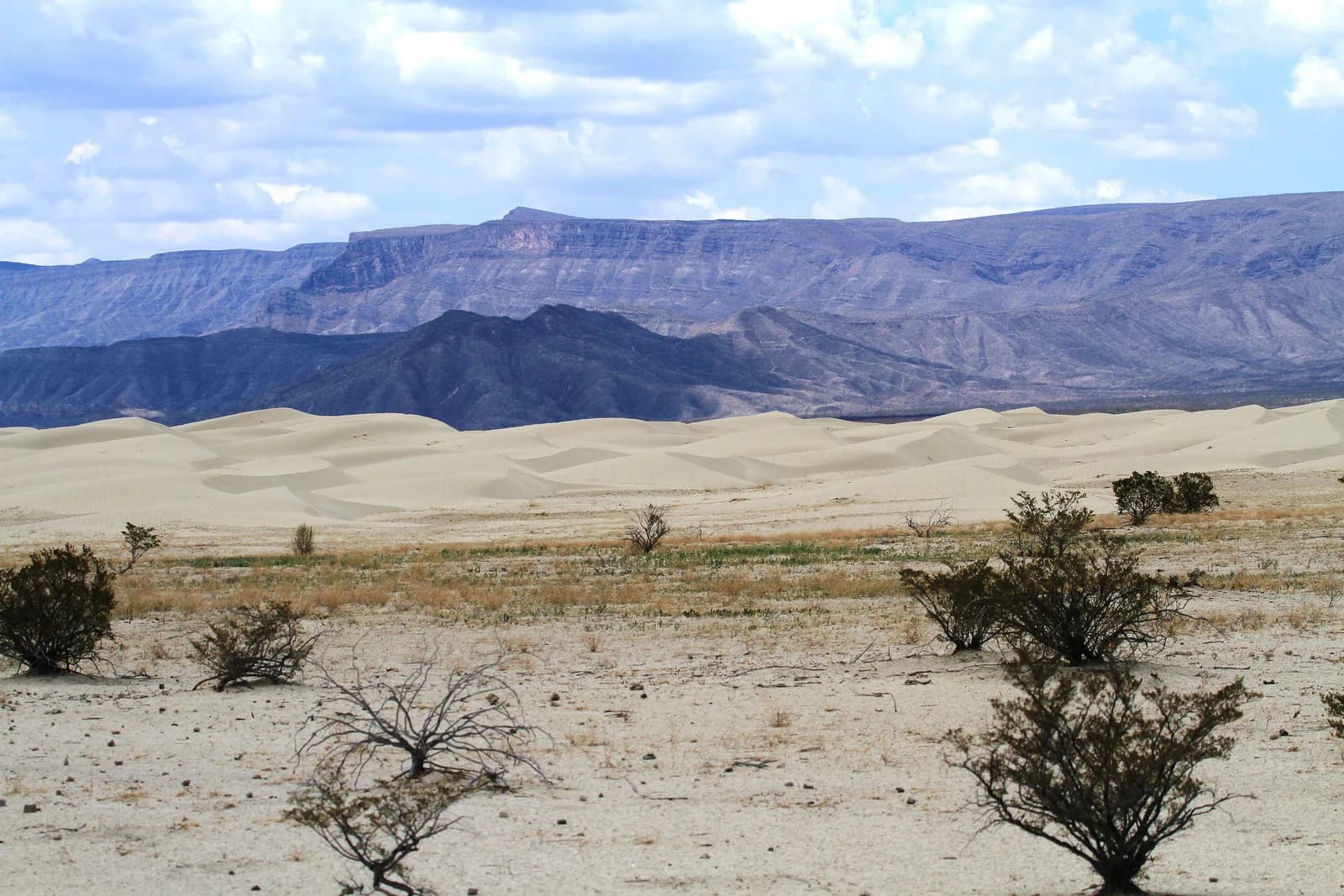 Coahuila
