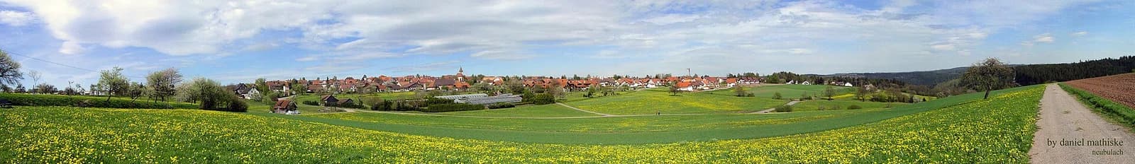 Neubulach