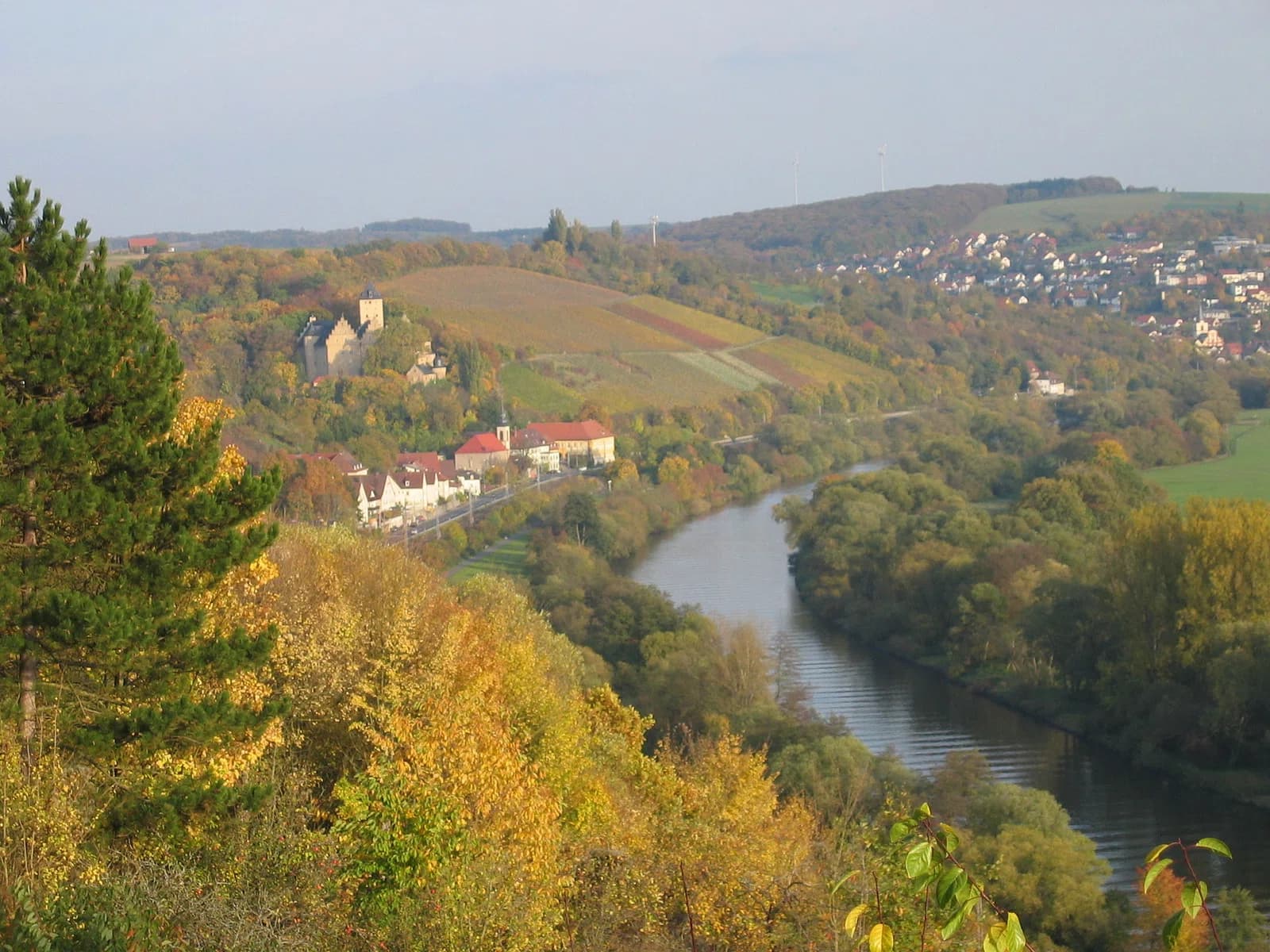 Schonungen