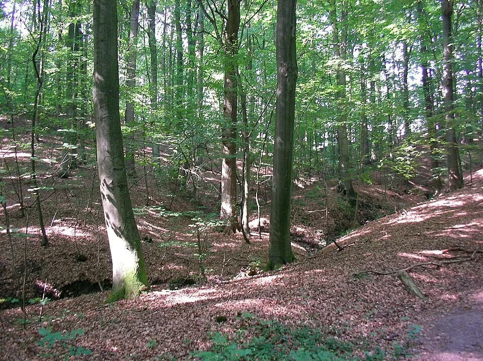 Börnsen