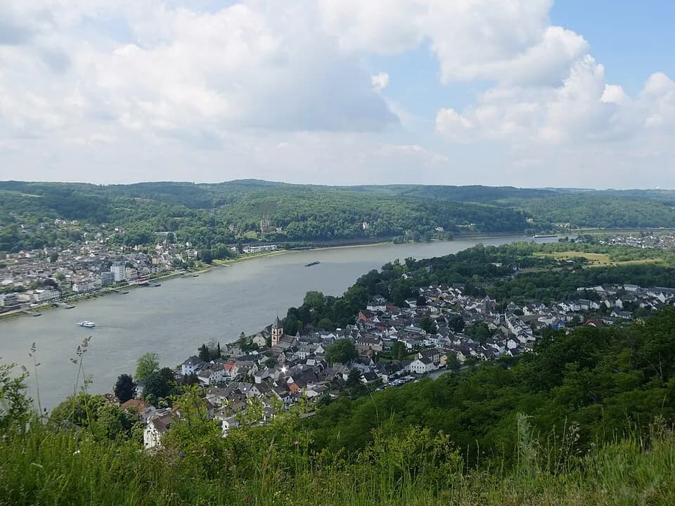 Erpel