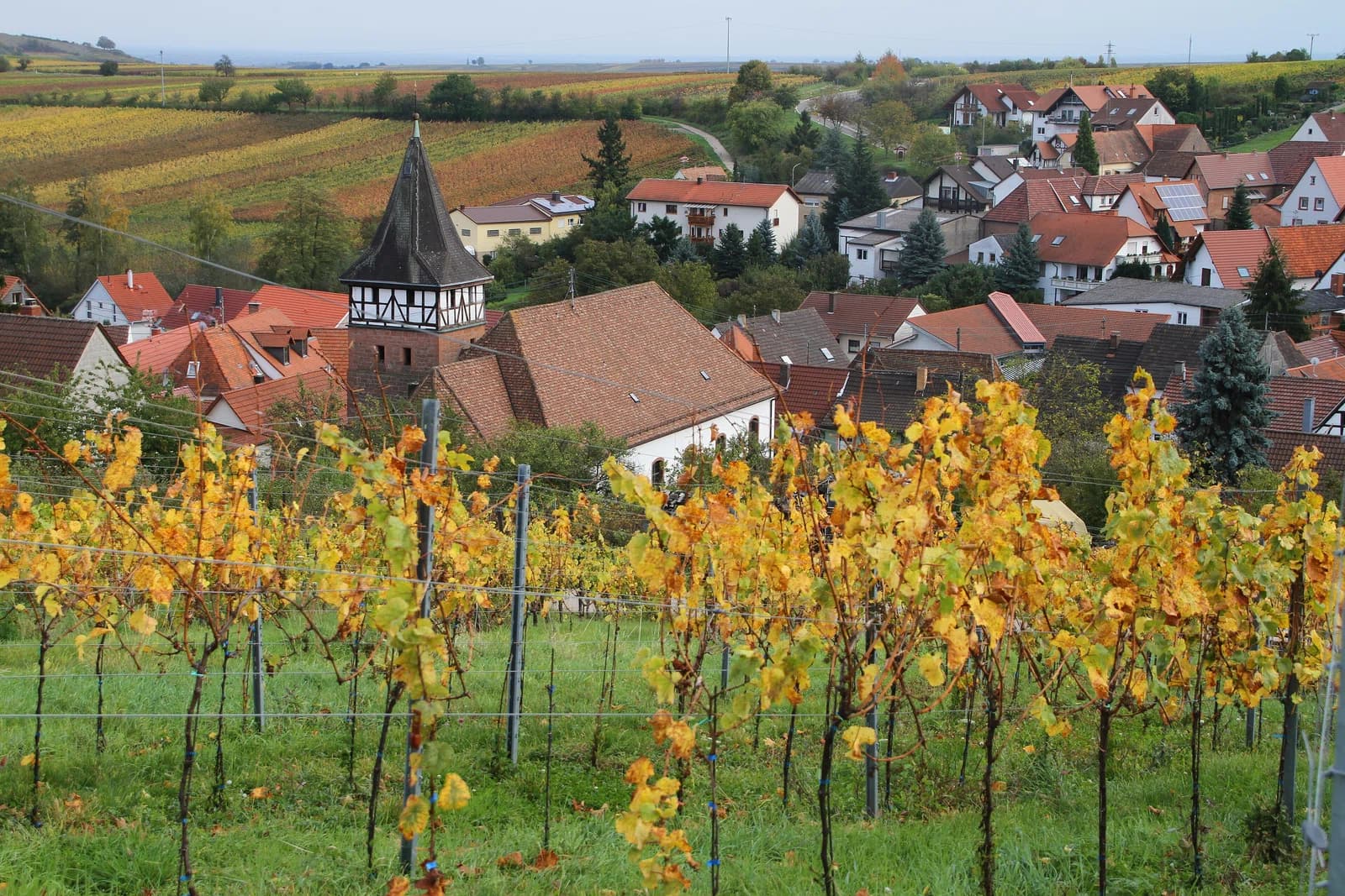 Ranschbach