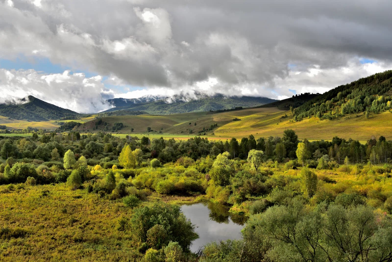 Region Altai