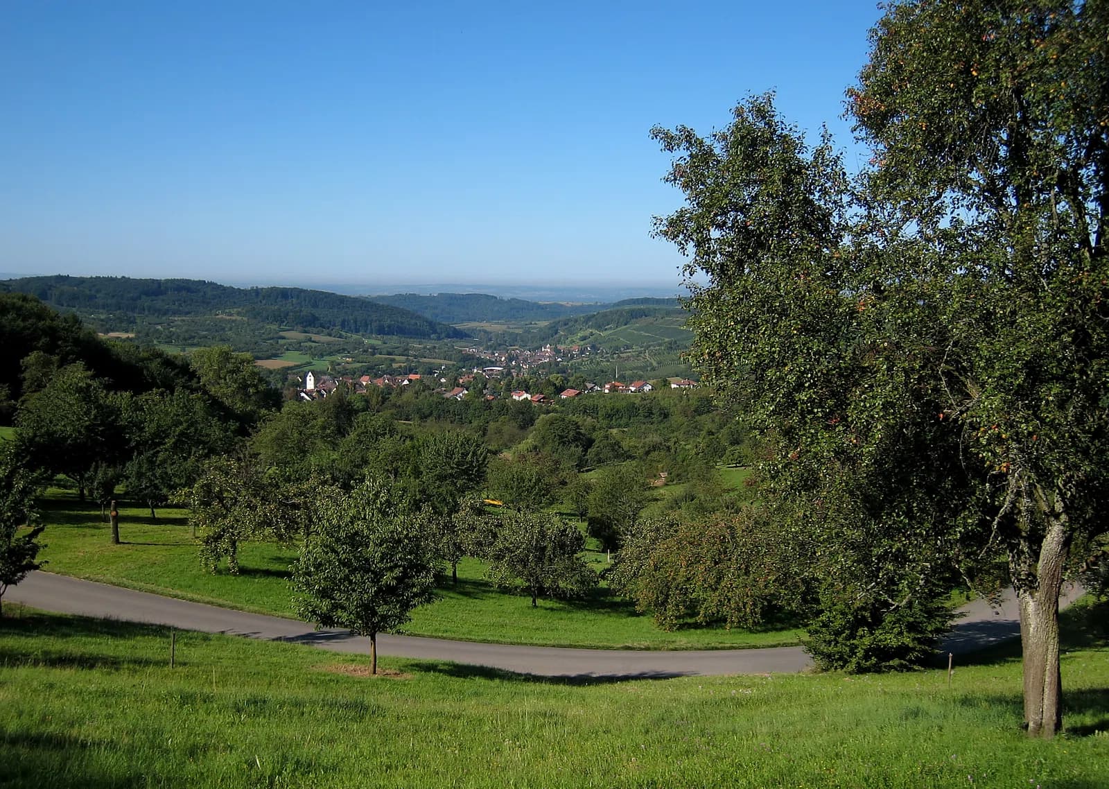 Schliengen