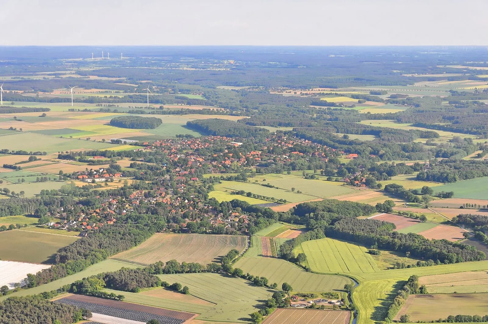 Neetze