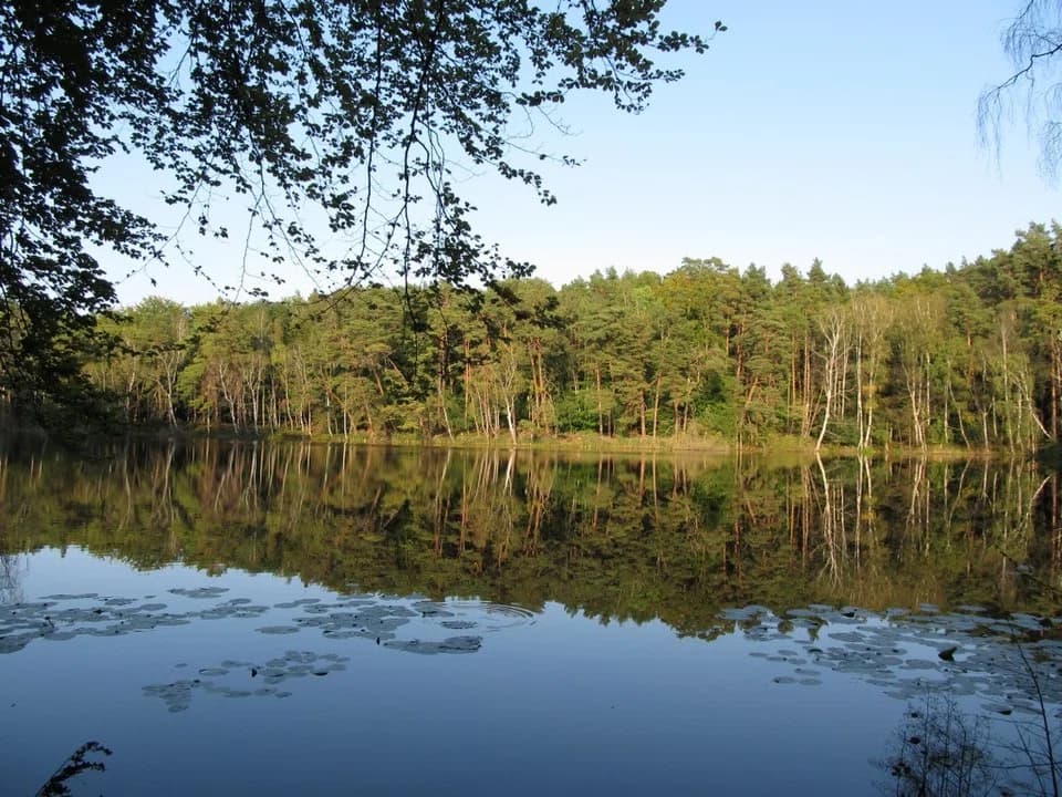 Korswandt