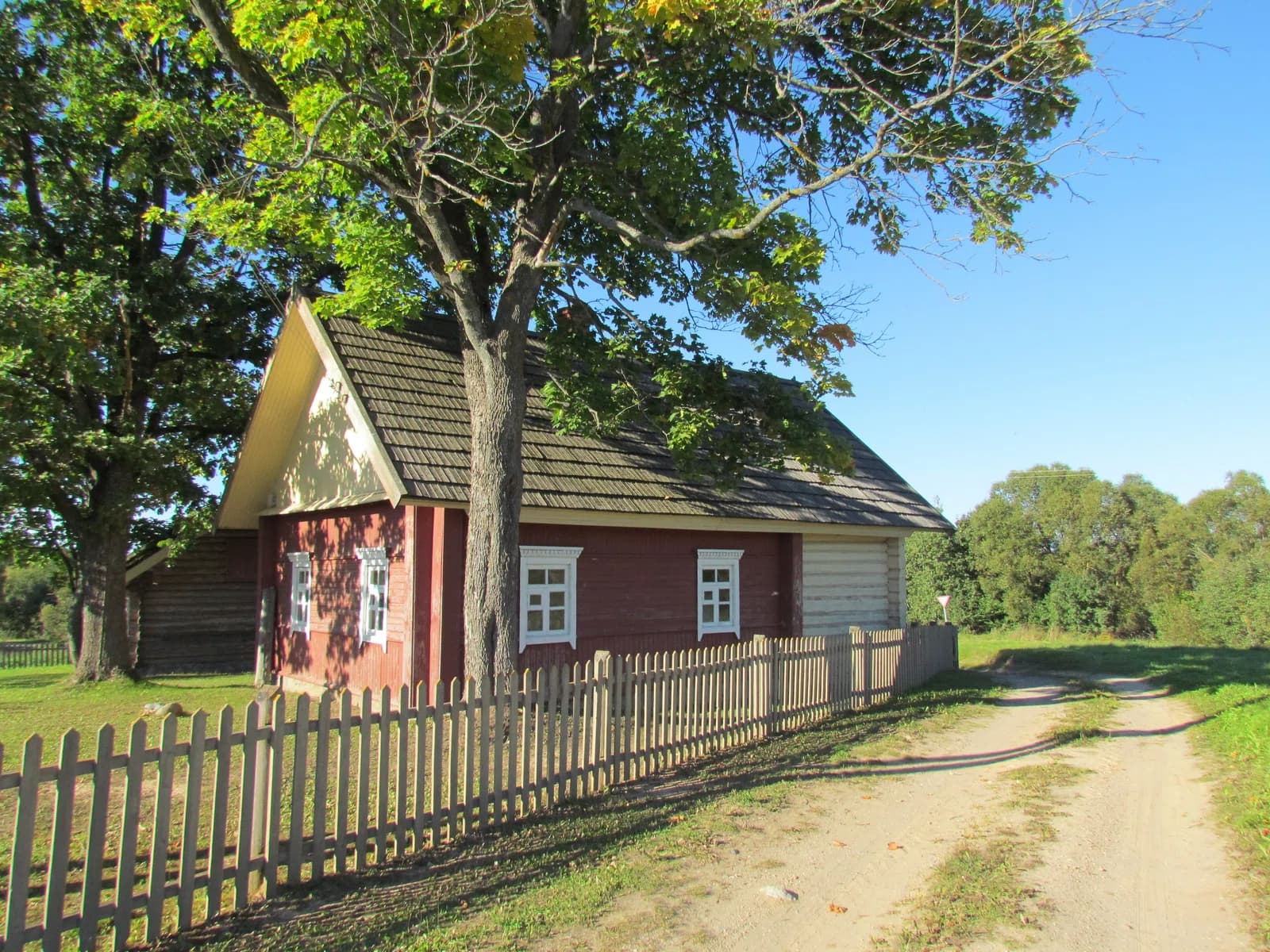 Byčki