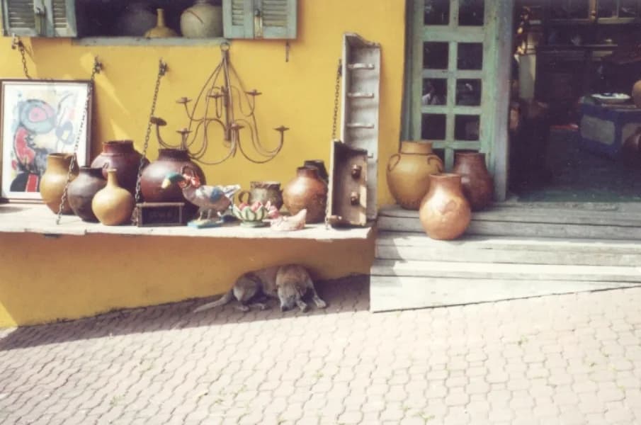 Embu das Artes