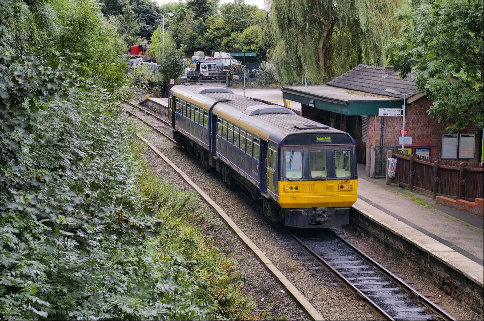 Marple