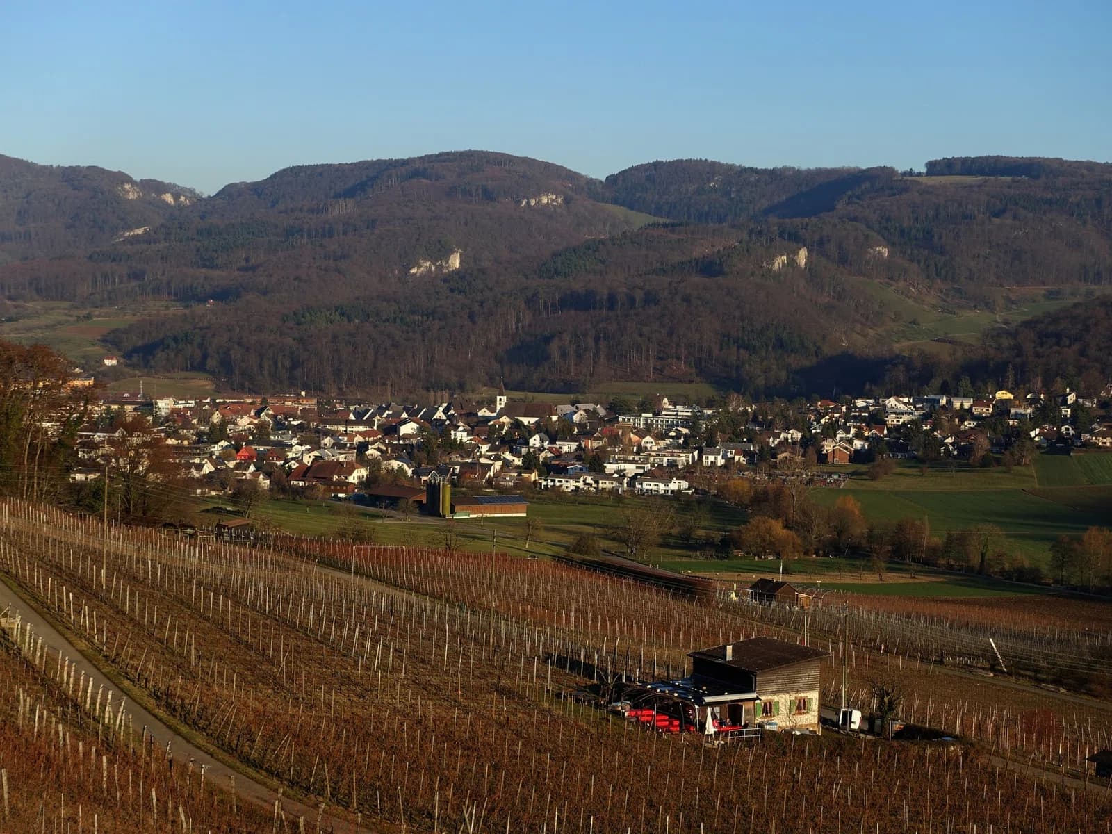 Aesch