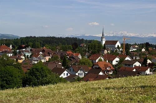 Muri