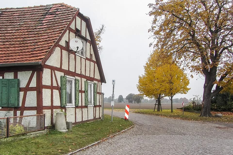 Schwarzholz