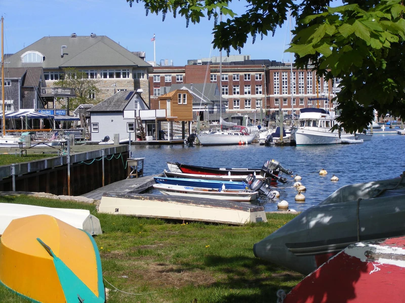Woods Hole
