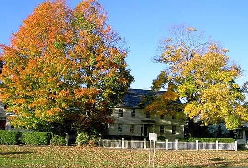 Litchfield