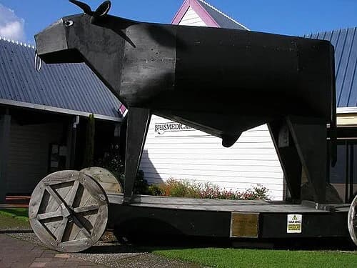 Bulls