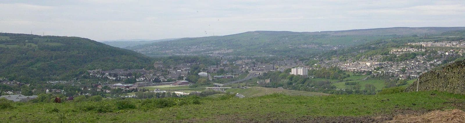 Bingley