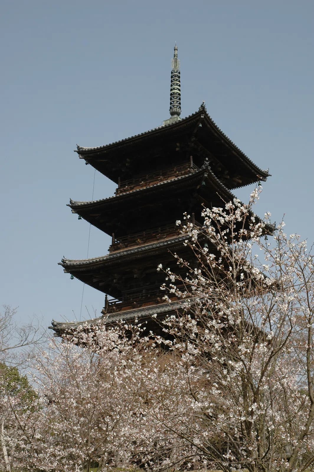 Sōja-shi