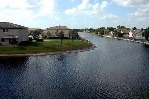 Tamarac
