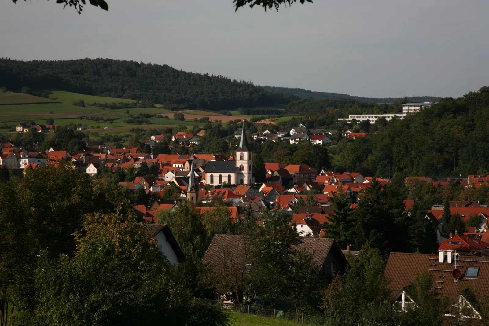 Reichelsheim