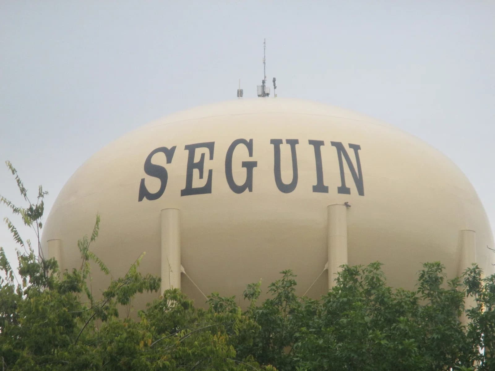 Seguin