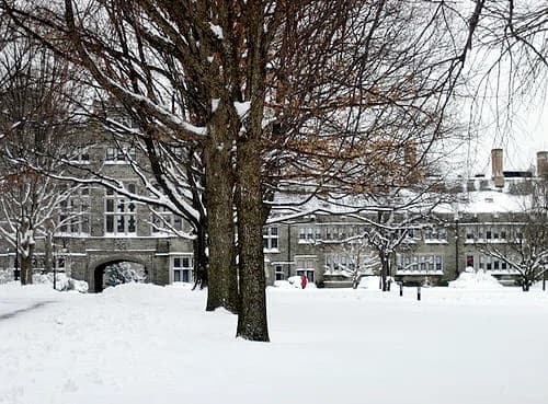 Bryn Mawr