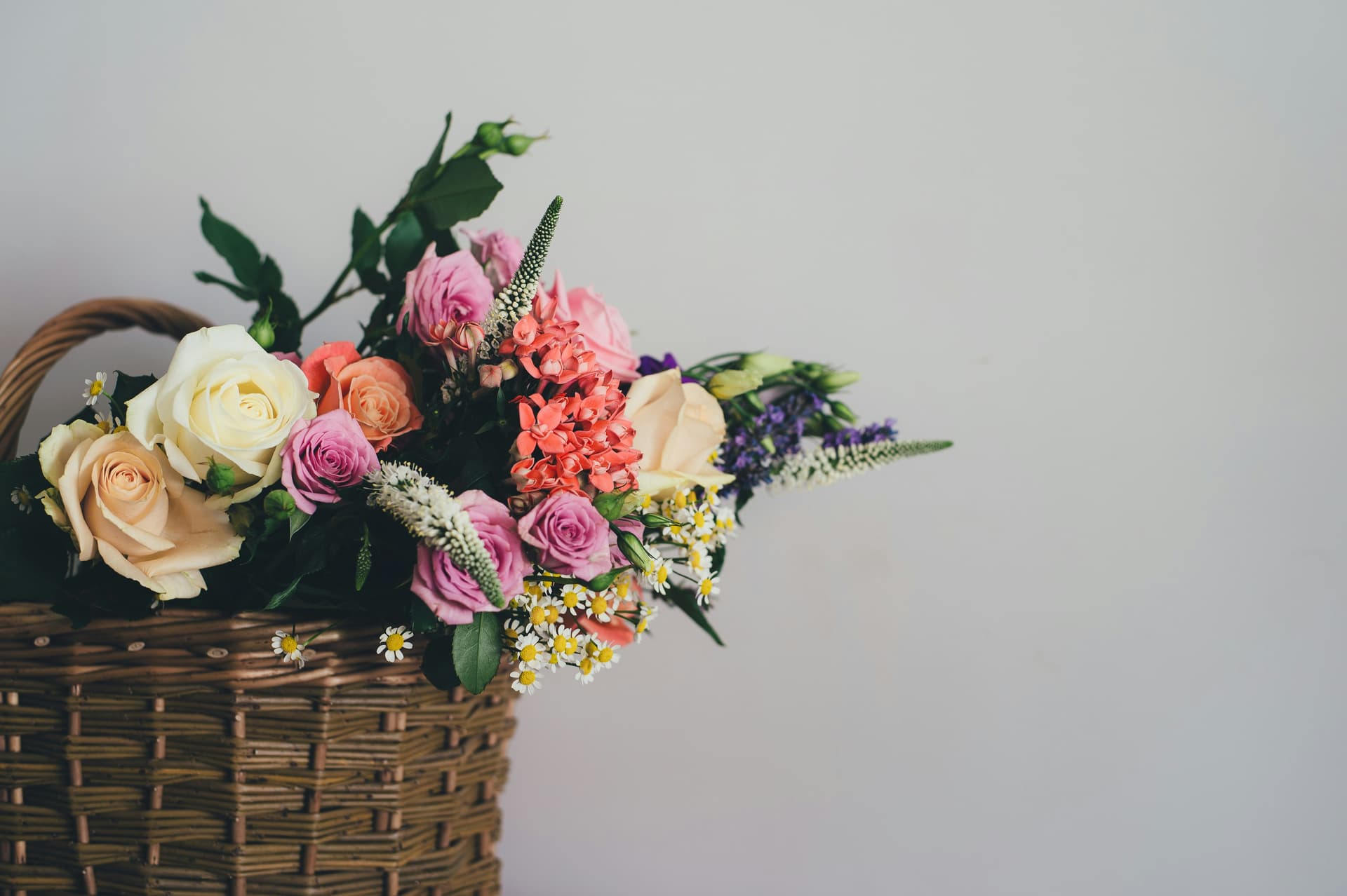 Showcase your assortment