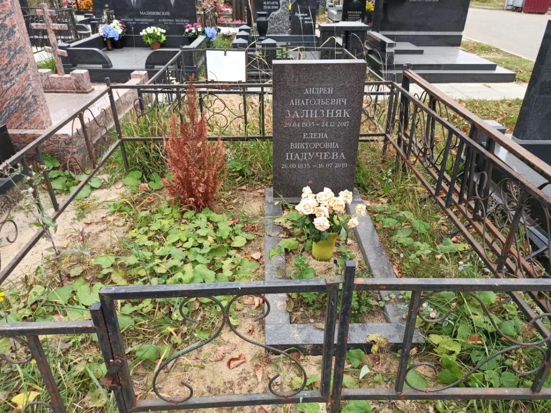 Friedhof Trojekurowo