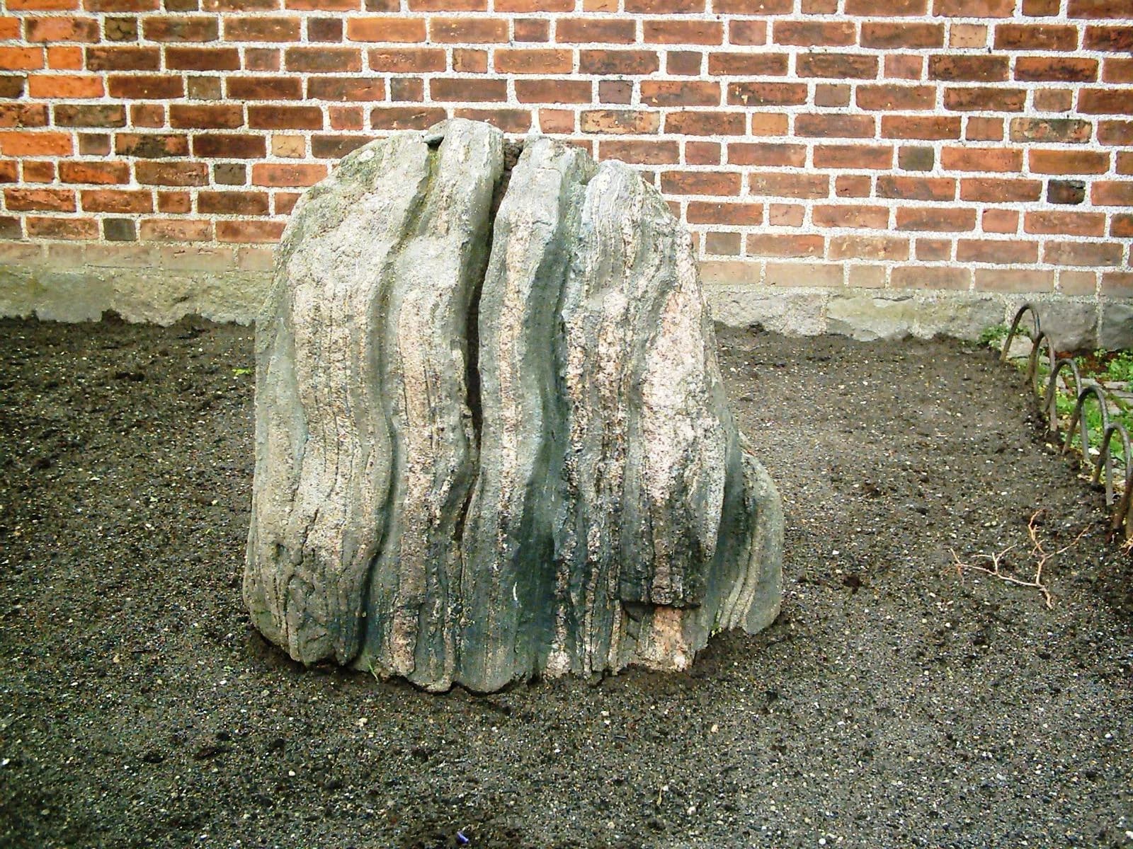 Dom zu Roskilde