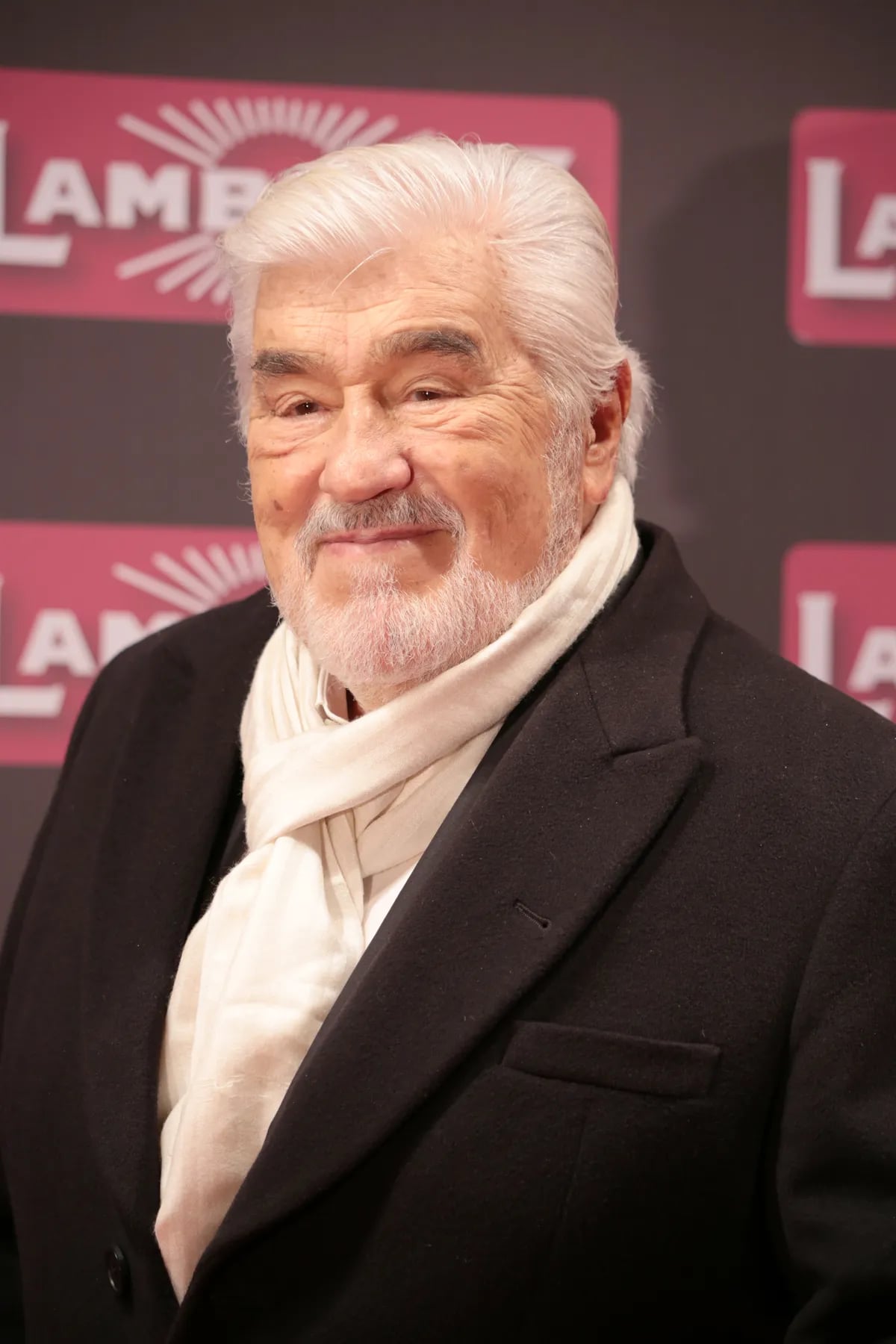 Porträt von Mario Adorf (1930–2026) – Gedenkseite